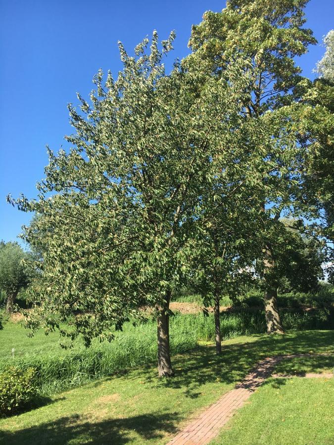 Ruim Appartement In Prachtige Fiets-Wandelomgeving Абкауде Екстериор снимка